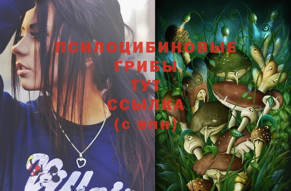 Альфа ПВП Дмитров